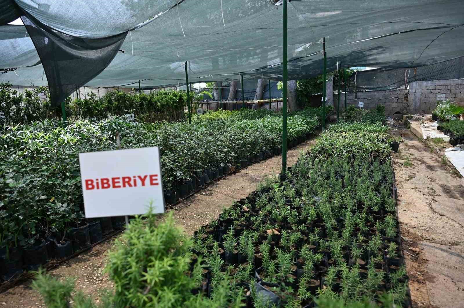 Kocag&ouml;z: "Kepez &uuml;reten bir belediye"
