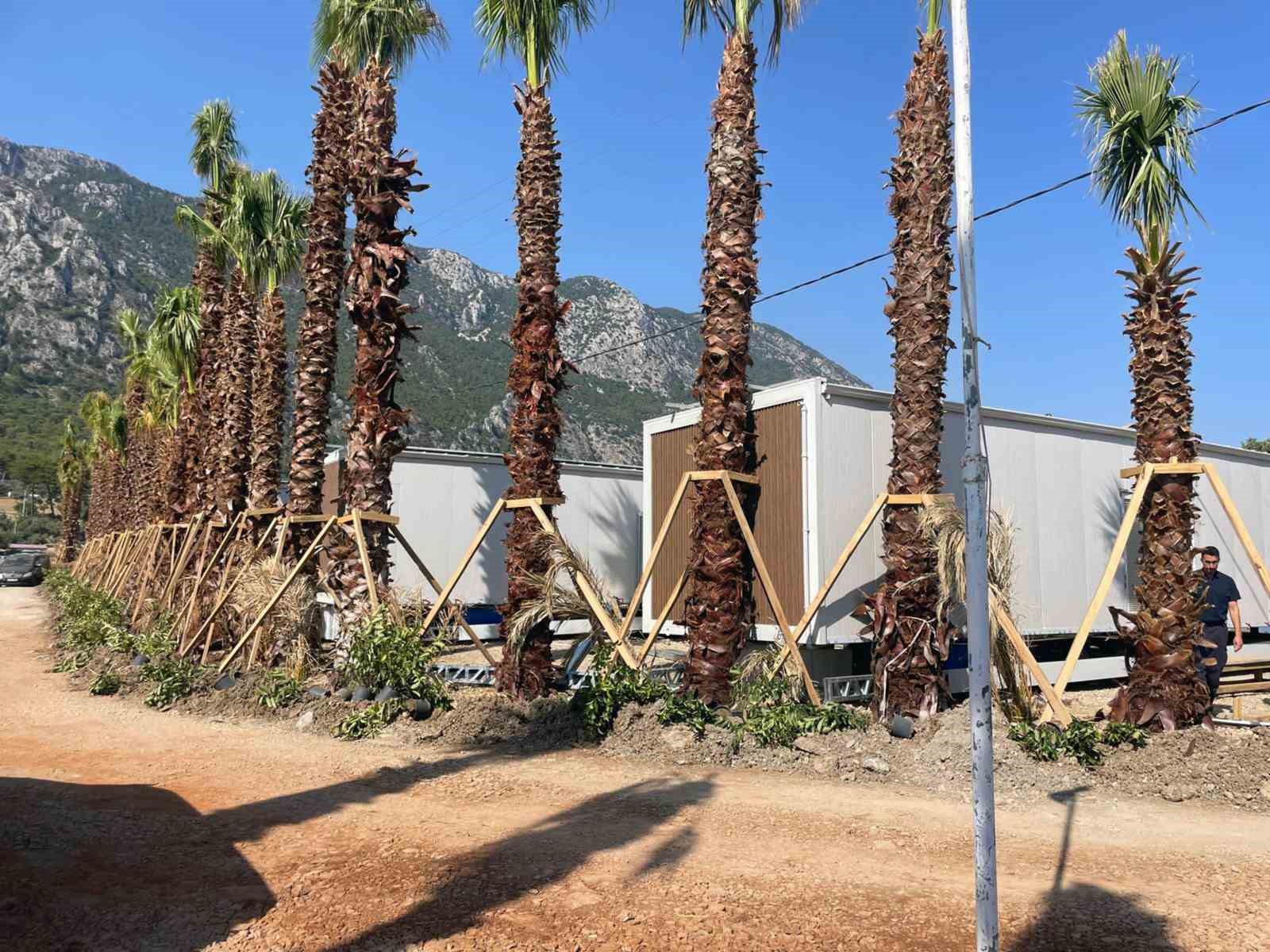 Menteşe Belediyesi Akbük’te 11 Tiny House’u mühürledi