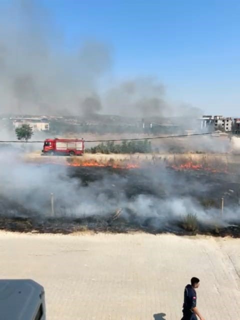 Temizlenmeyen kuru otlar yangına neden oldu
