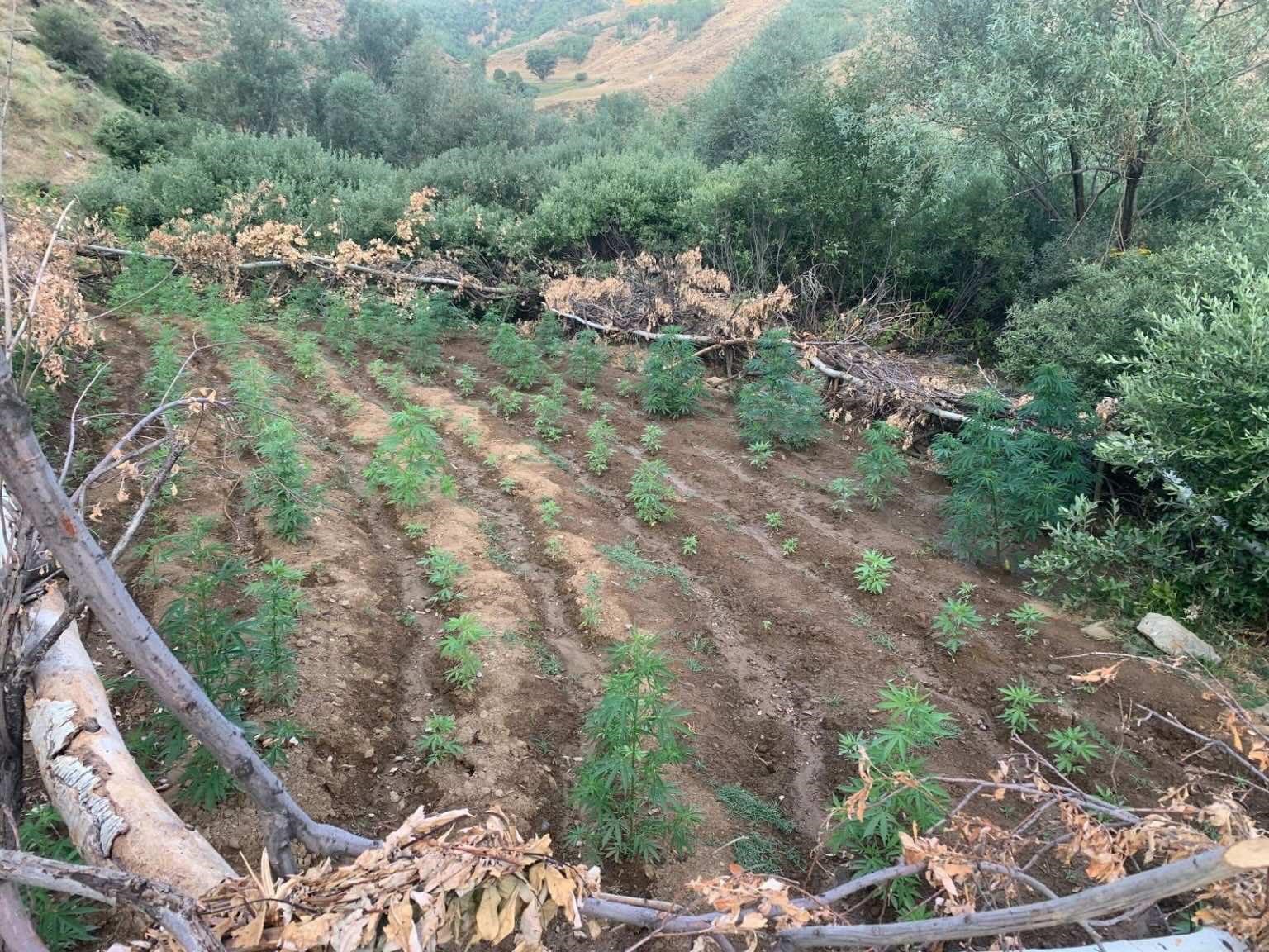Bing&ouml;l&rsquo;de uyuşturucuyla m&uuml;cadele s&uuml;r&uuml;yor
