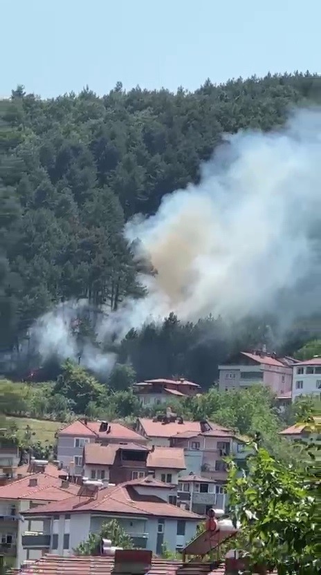 &Ouml;rt&uuml; yangını b&uuml;y&uuml;meden s&ouml;nd&uuml;r&uuml;ld&uuml;
