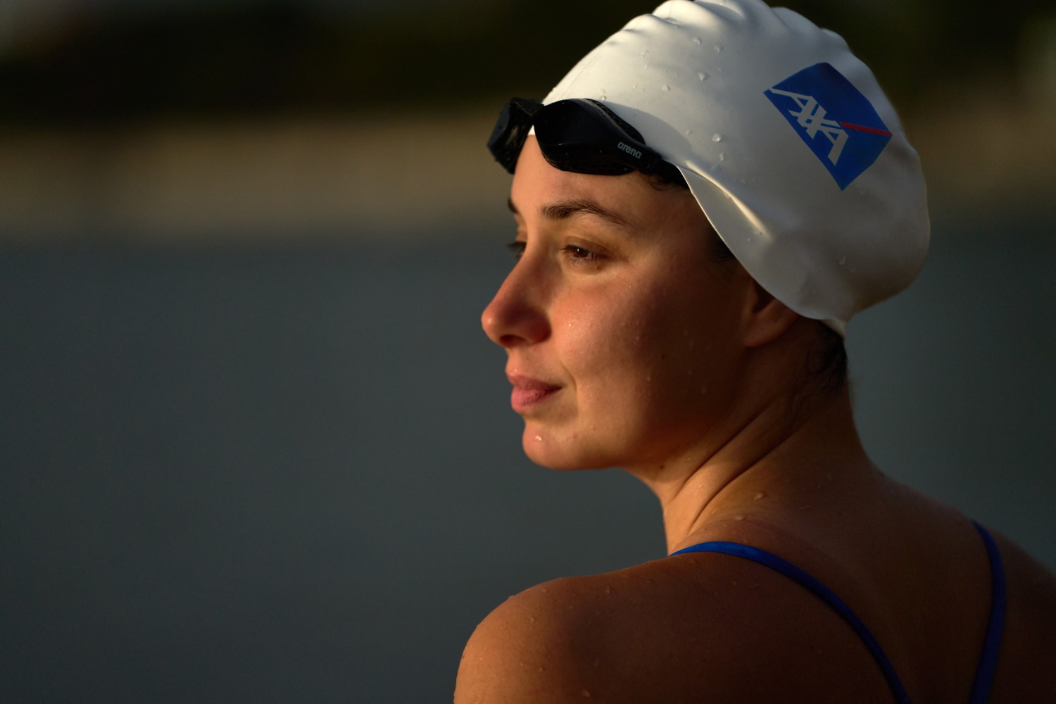 Bengisu Avcı, Kuzey Kanalı’nda