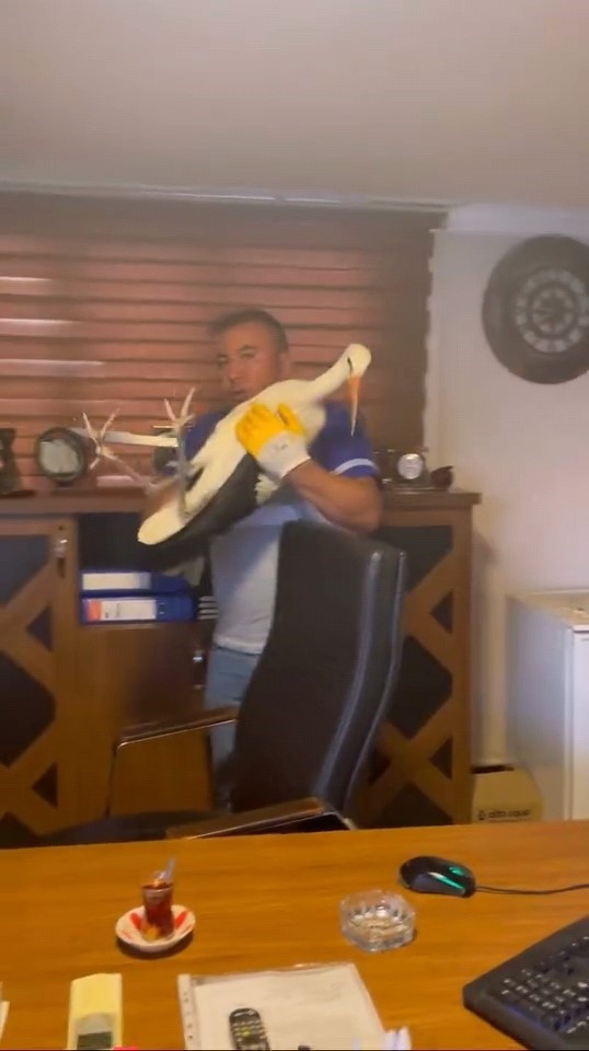 Yaralı leyleğe şefkat eli