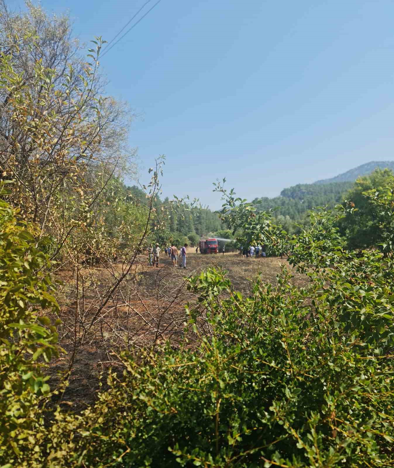 Bucak&rsquo;ta &ccedil;ıkan arazi yangınında 1 d&ouml;n&uuml;m alan yandı
