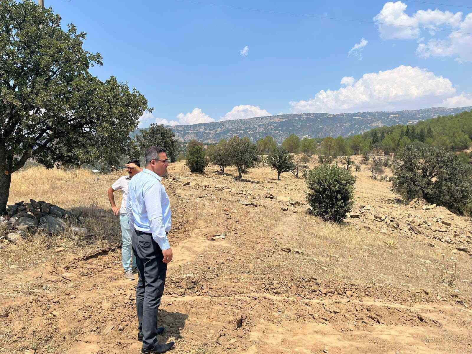 Sarıgöl’e sokak hayvanları için doğal yaşam alanı yapılacak