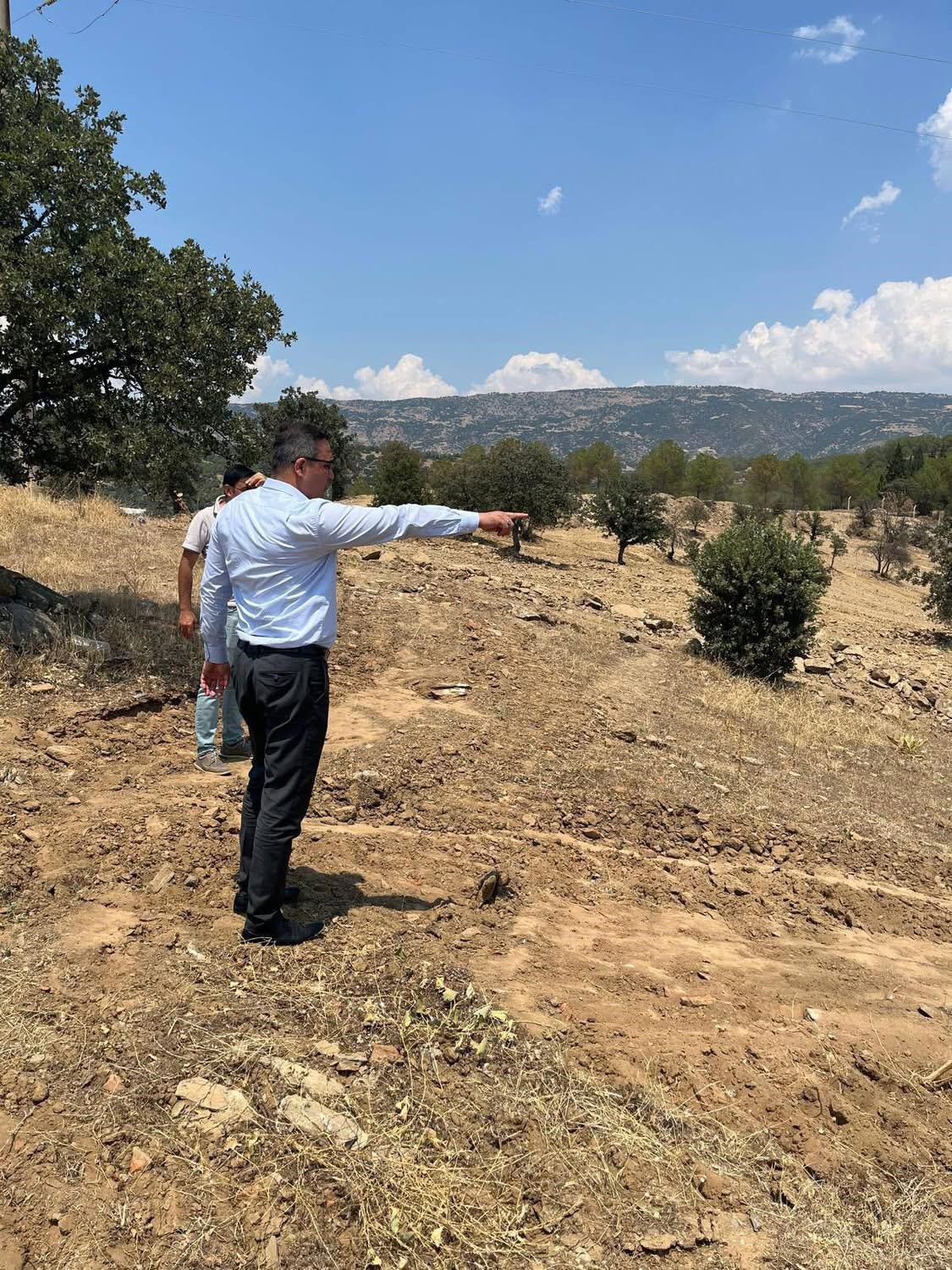 Sarıg&ouml;l&rsquo;e sokak hayvanları i&ccedil;in doğal yaşam alanı yapılacak
