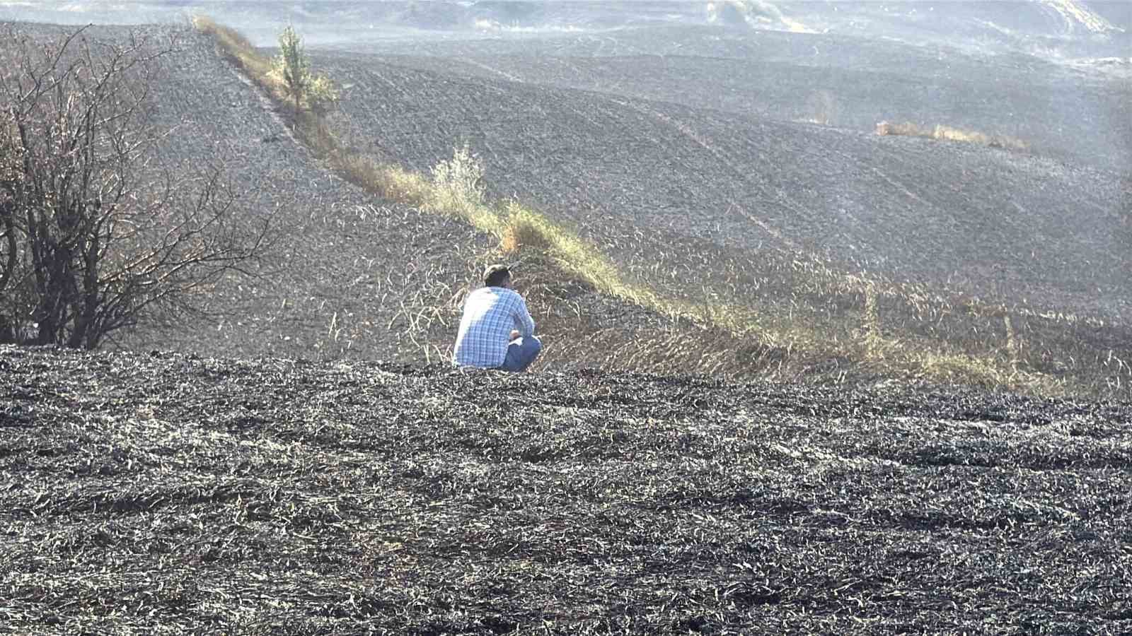 Tokat’ta buğday tarlasında çıkan yangın 2 bin dönüm araziyi kül etti