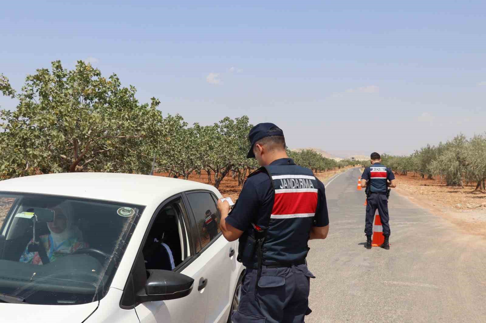 Fıstık hırsızlığına karşı jandarmadan sıkı denetim