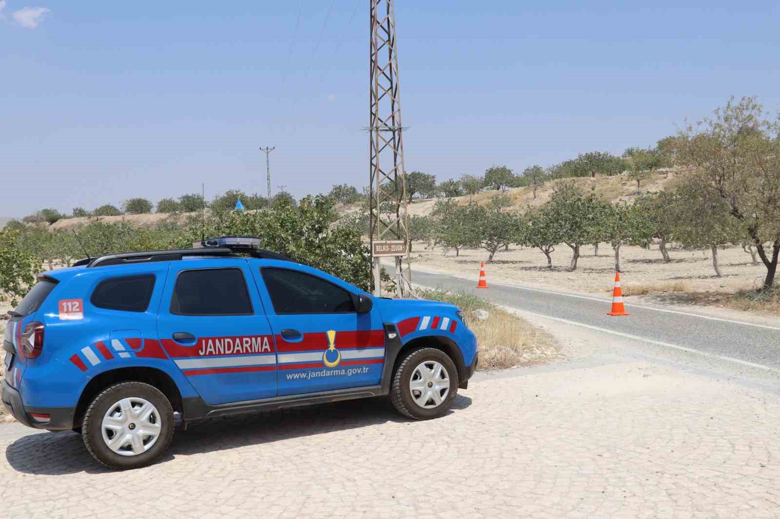 Fıstık hırsızlığına karşı jandarmadan sıkı denetim