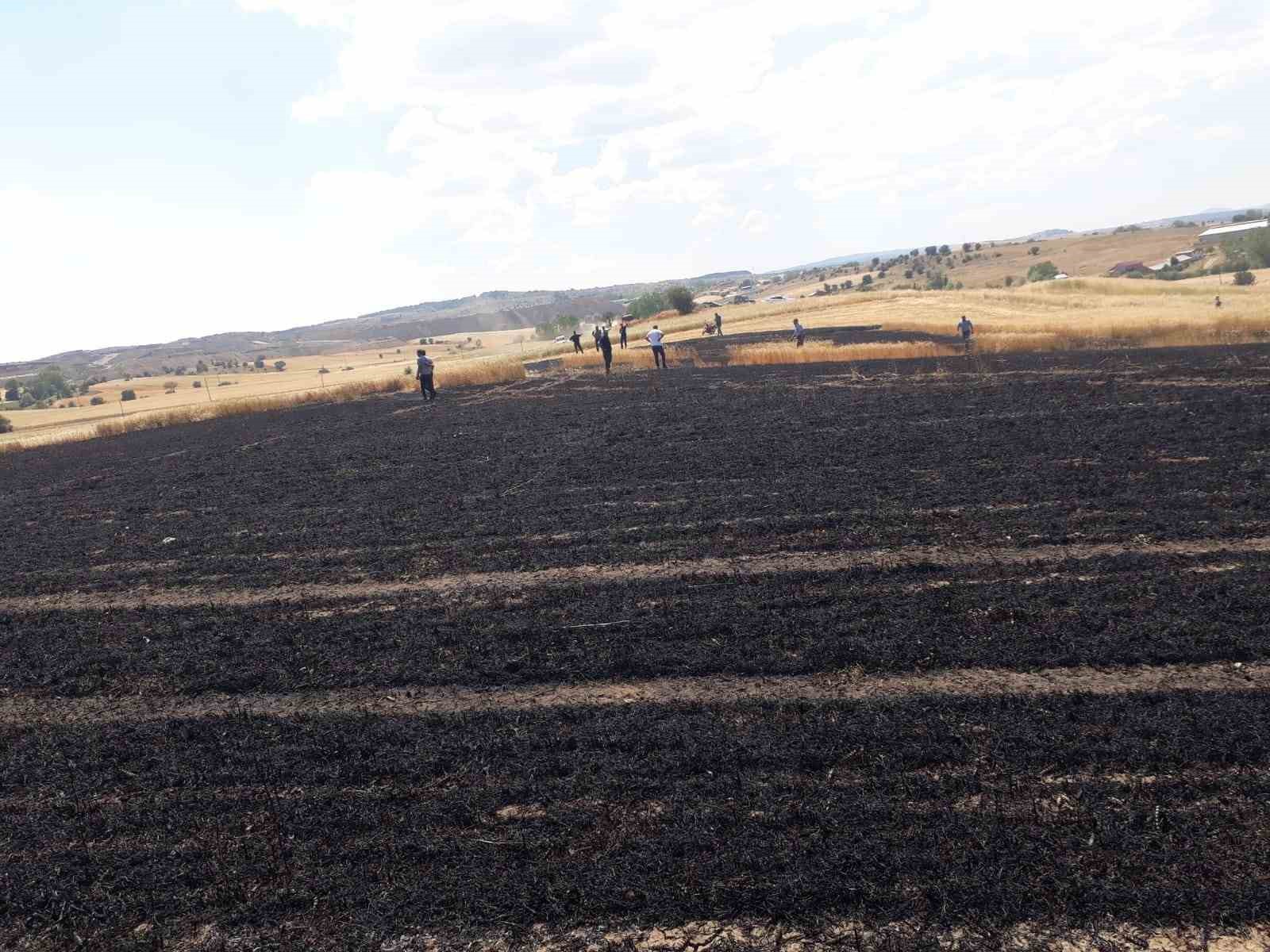 Buğday ekili tarlada çıkan yangında 15 dönüm alan zarar gördü