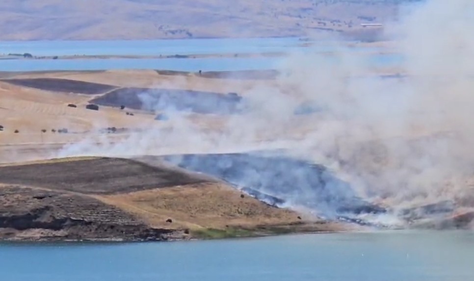 Tunceli’deki yangın ekili alanlara sıçramadan söndürüldü