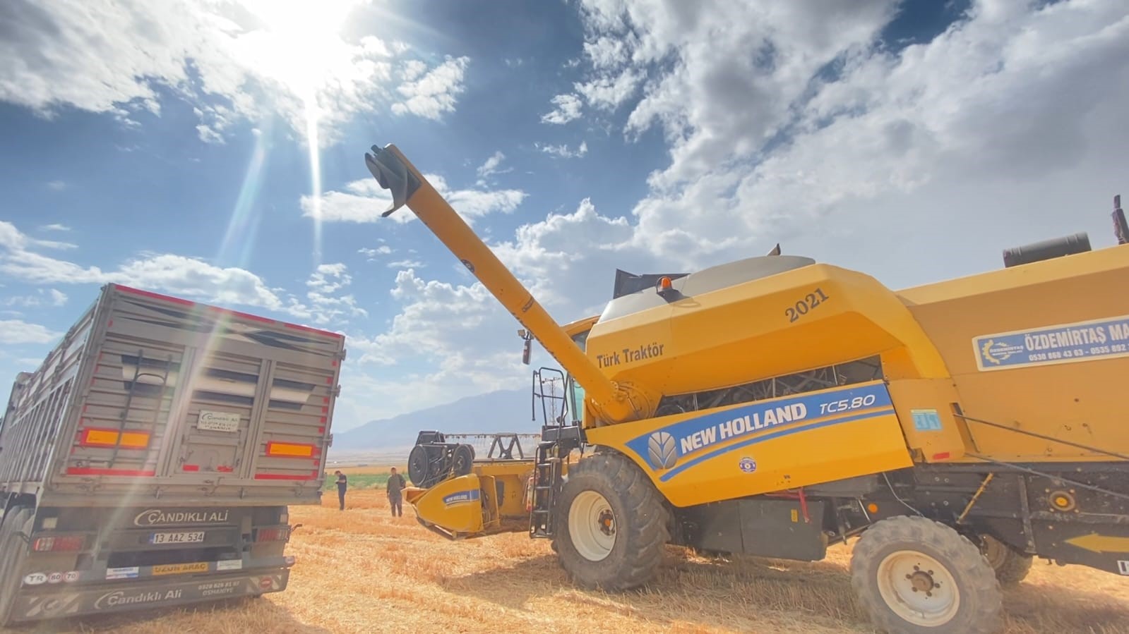 Adilcevaz’da buğday hasadı devam ediyor