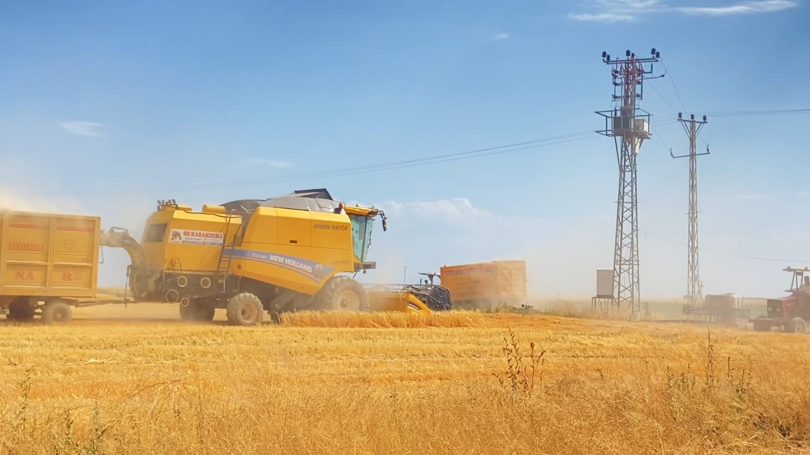 Adilcevaz’da buğday hasadı devam ediyor