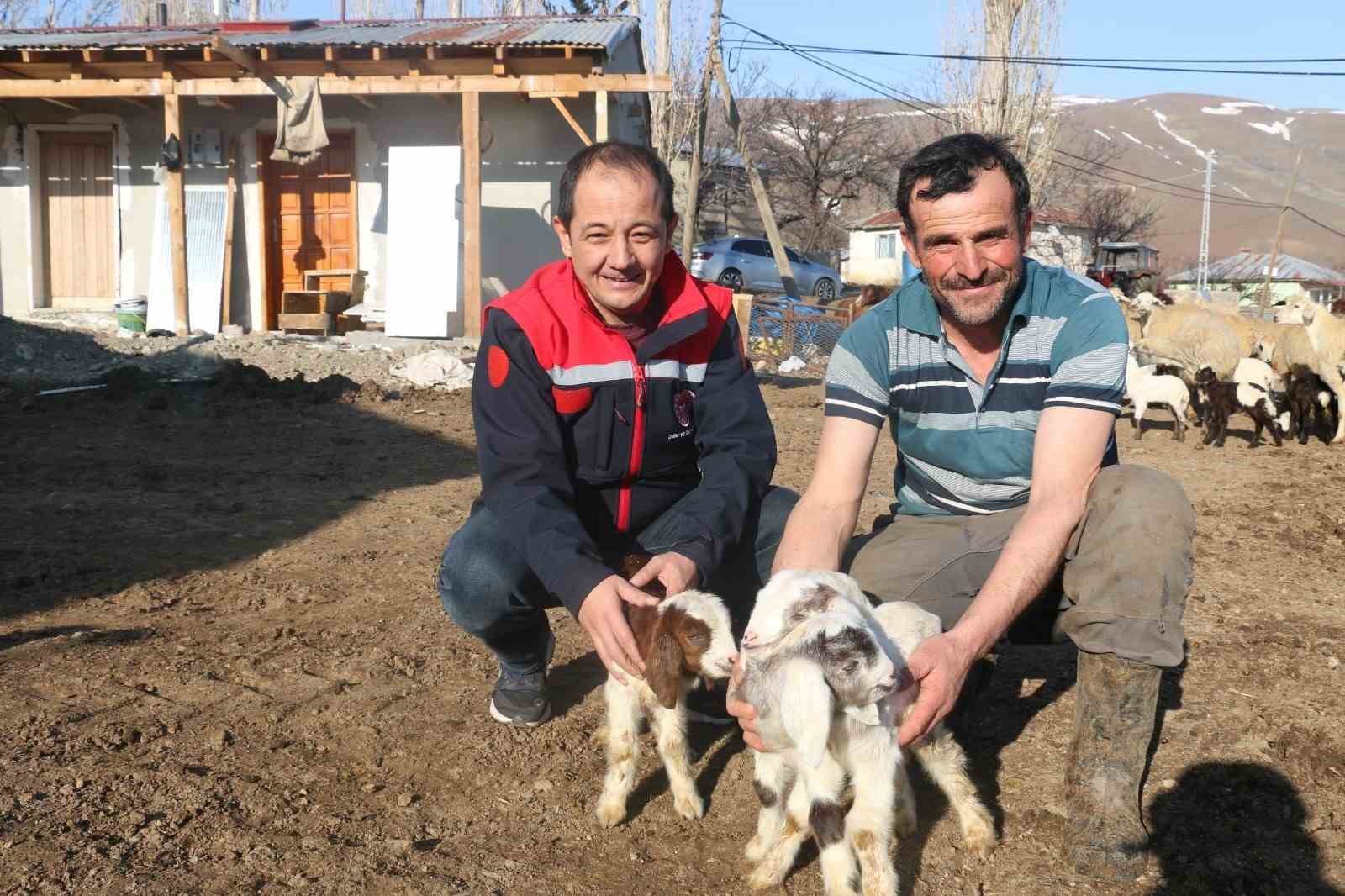 Erzincan’da koyunculuk kredisi 1 milyon 200 bin liraya yükseltildi