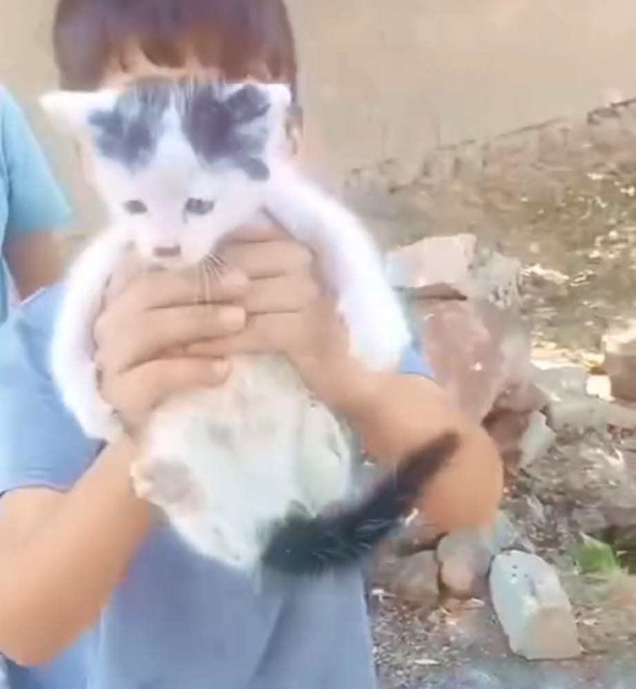 Foseptik &ccedil;ukuruna d&uuml;şen minik kediyi &ccedil;ocuklar kurtardı
