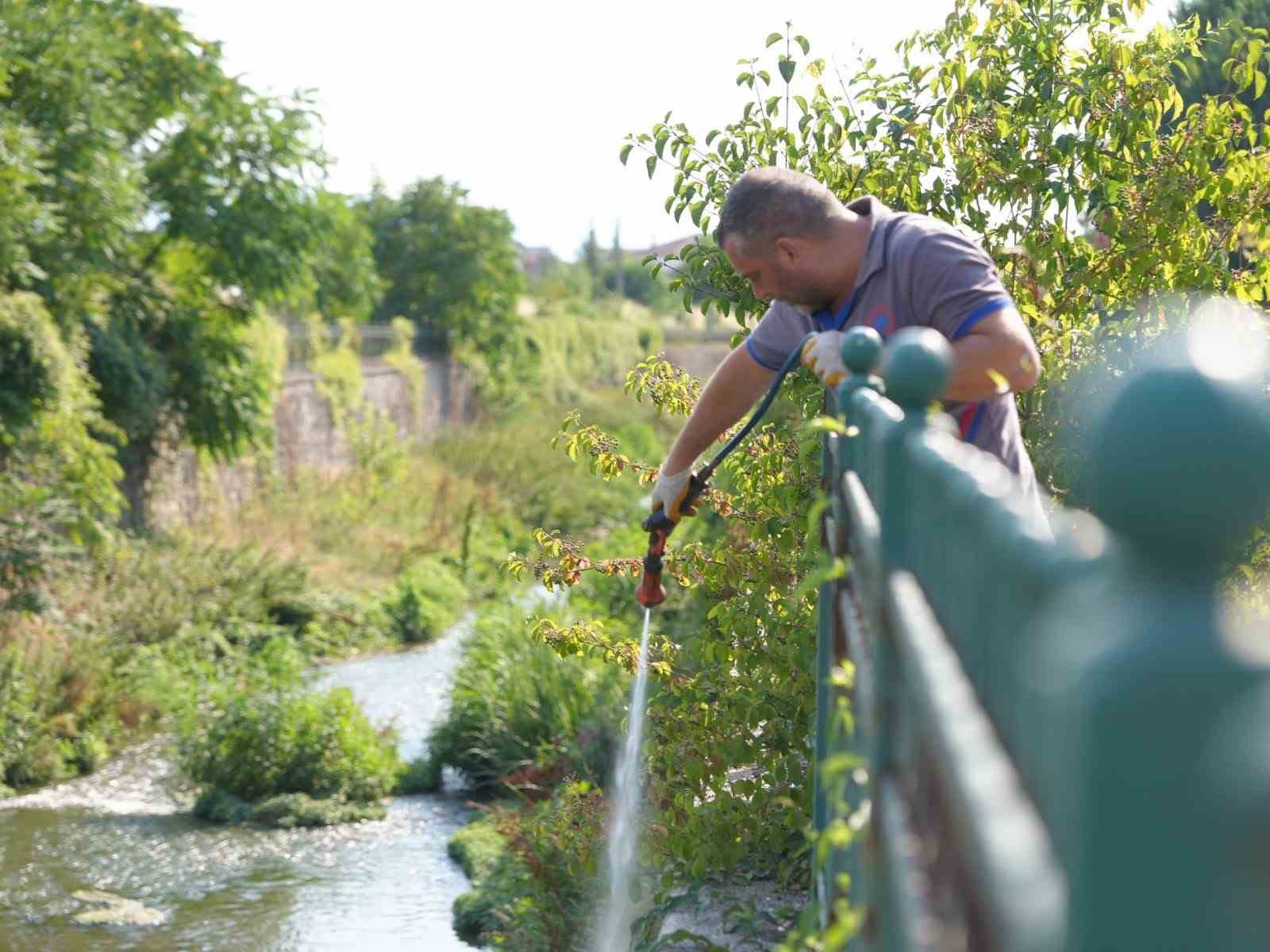 Düzce Belediyesi otluk ve sulak alanlarda ilaçlama çalışmaları yapıyor