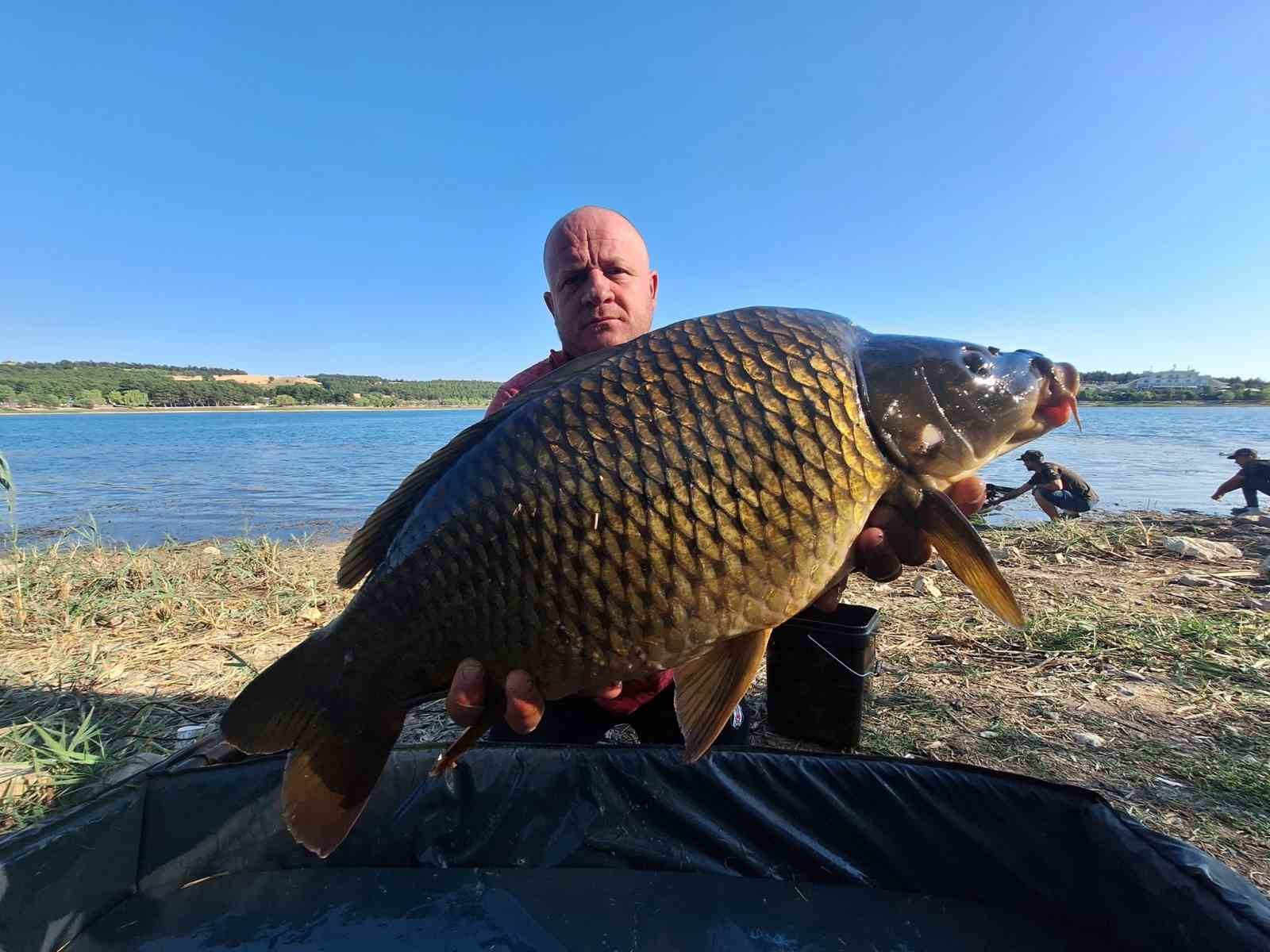 (ÖZEL) Yakaladıkları devasa sazanları yeniden suya bıraktılar
