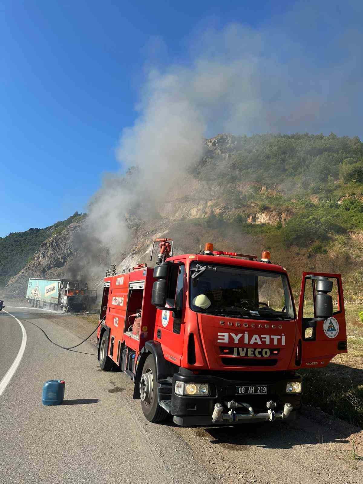 Seyir halindeki tır alev alev yandı