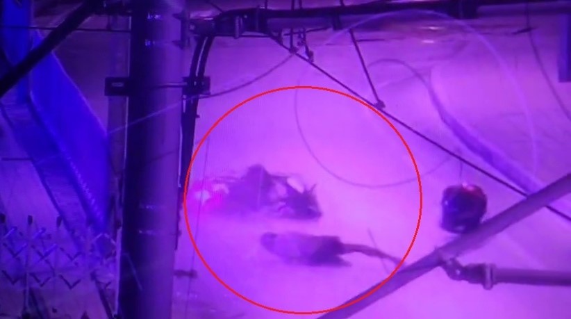 Tramvay durağına çarpan motosikletteki 2 kişi yaralandı