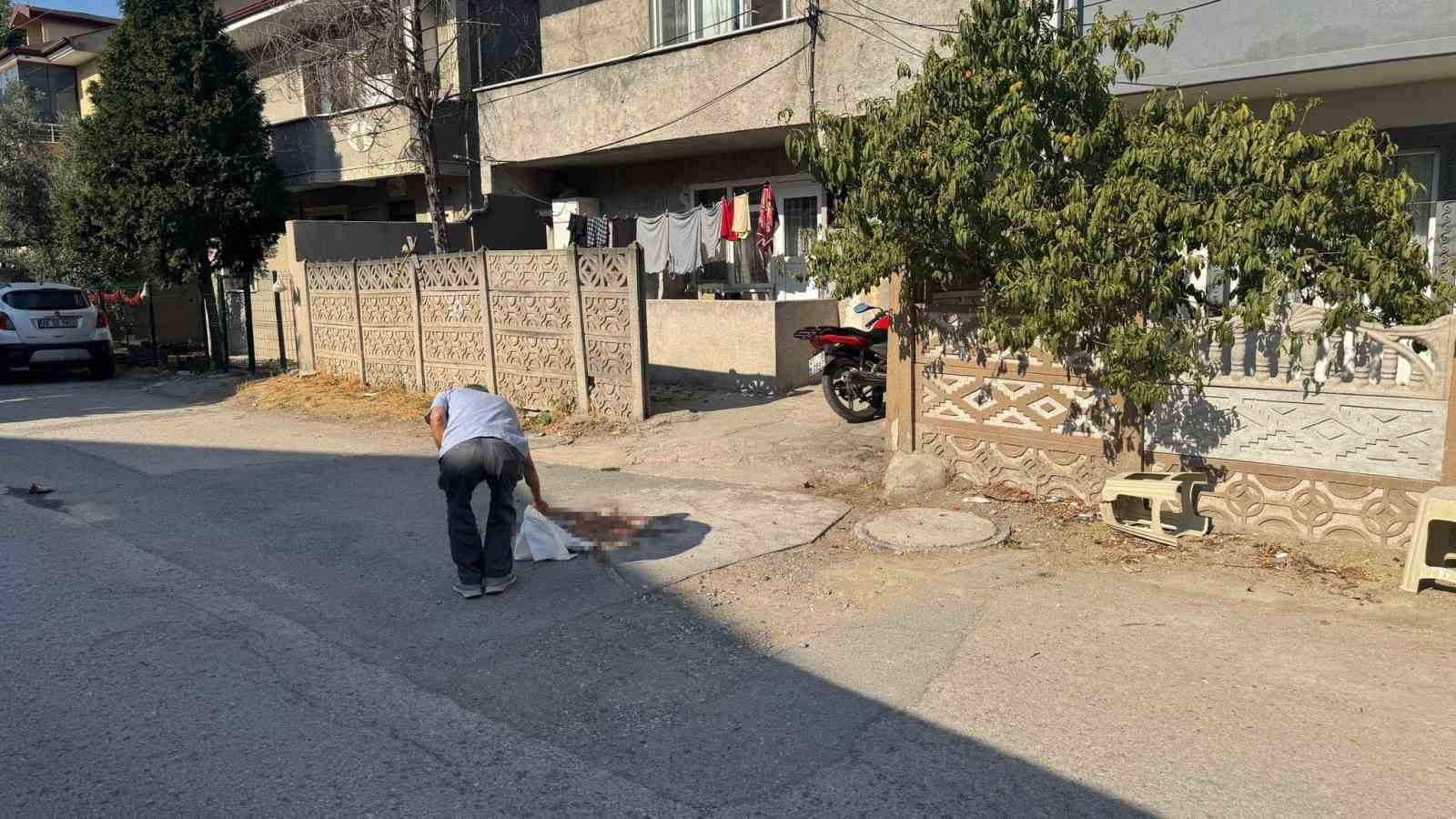 Tartıştığı babasını pompalı tüfekle vurarak öldürmüştü, tutuklandı