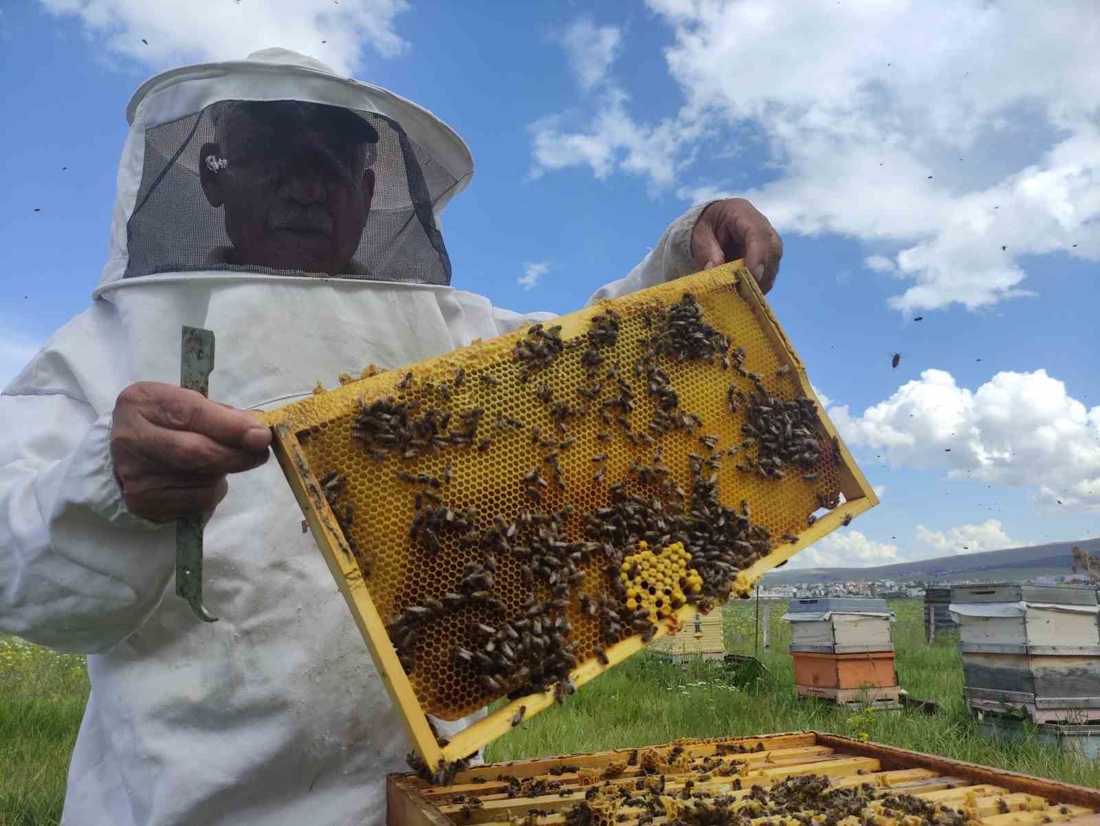 Ardahan Arı Yetiştiricileri Birliği Başkanı Evliyaoğlu: "Hakiki bal donup kristalize olur’’
