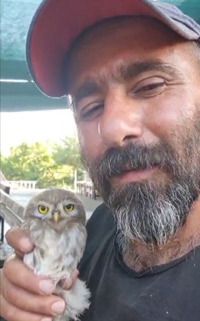 Tunceli’de yavru baykuş, kendisini seven vatandaştan ayrılmak istemedi