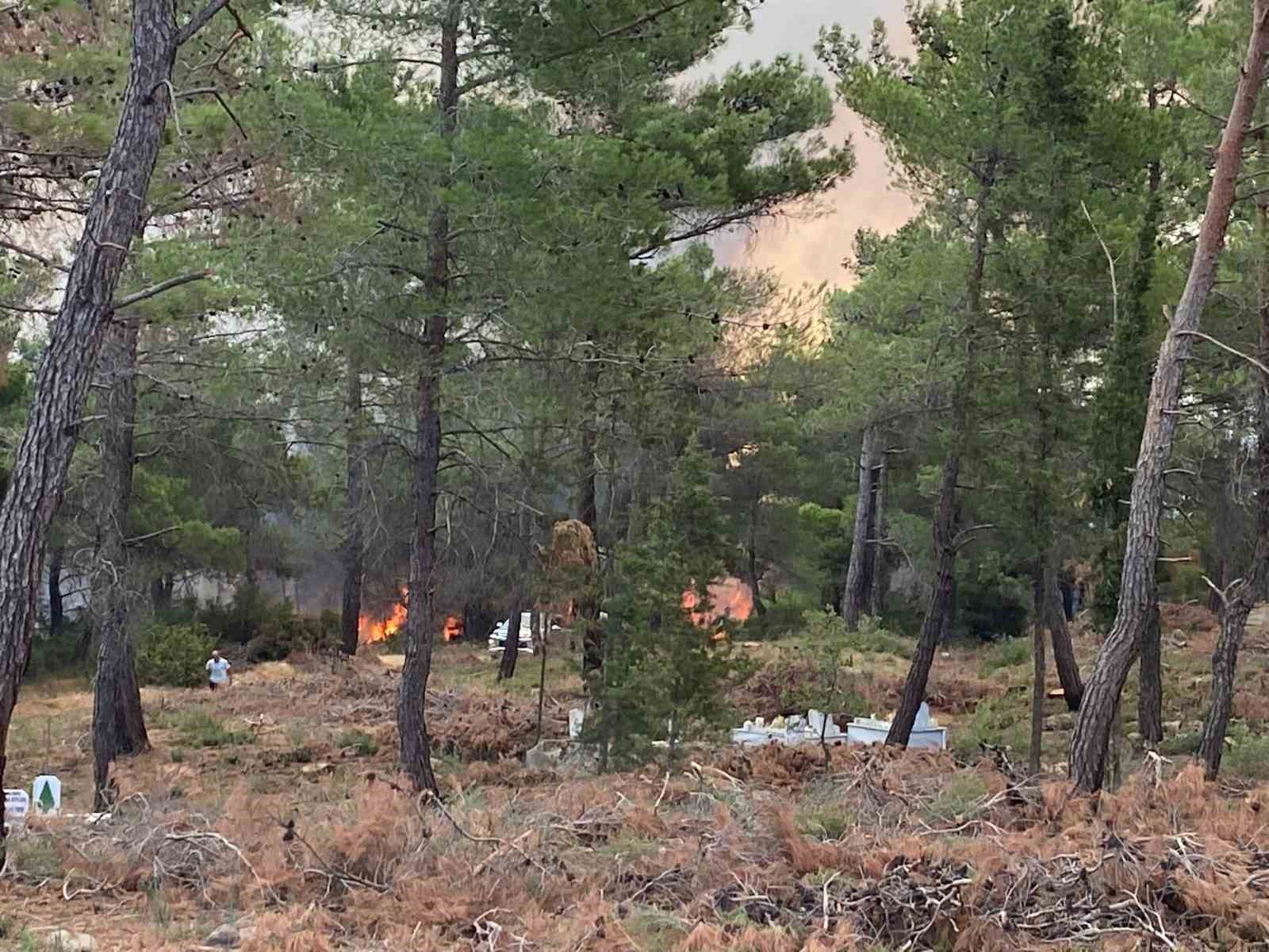 Çanakkale’de orman yangını