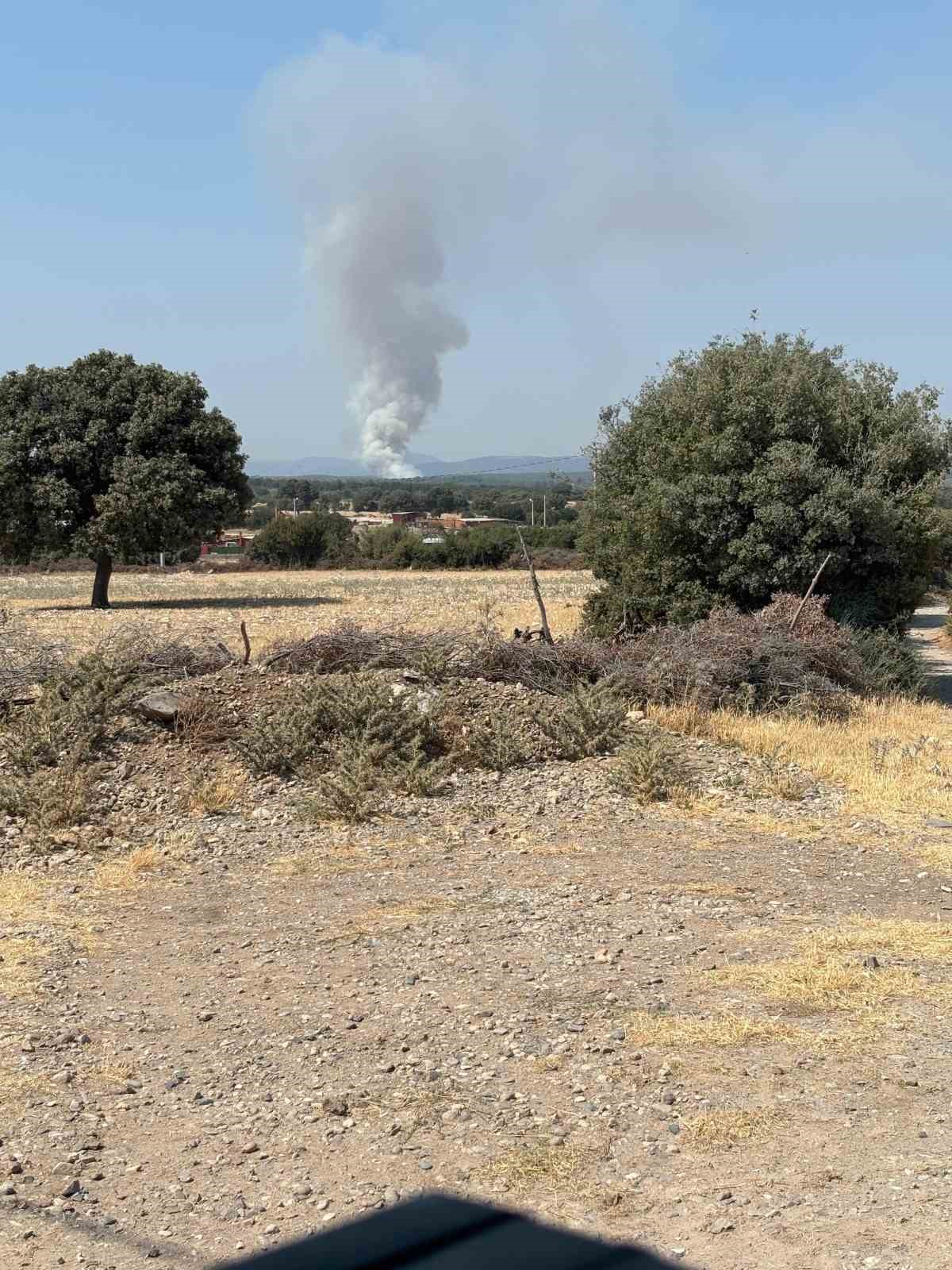 &Ccedil;anakkale&rsquo;de orman yangını
