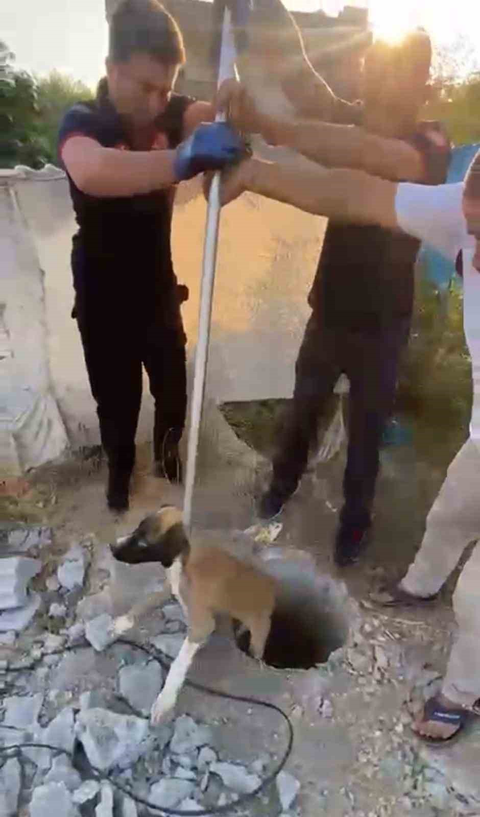 Batman’da kuyuya düşen yavru köpeği itfaiye kurtardı