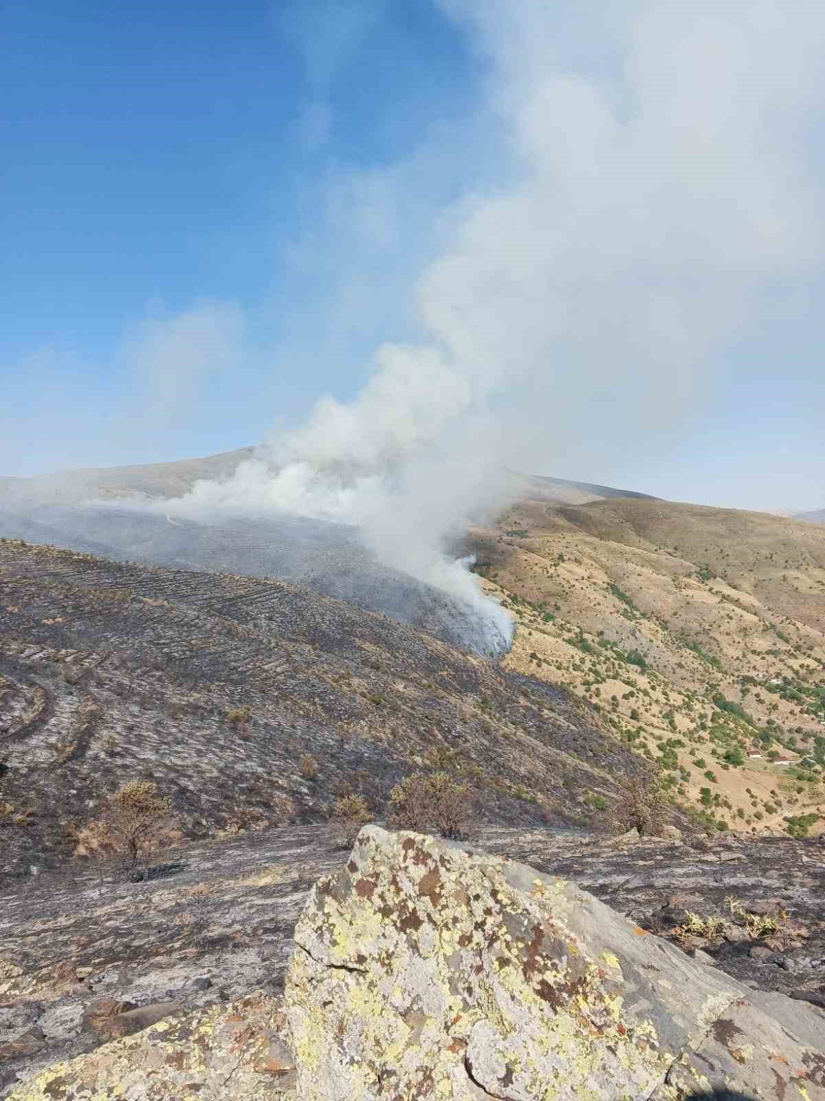 Elazda yeniden balayan rt yangnna mdahale ediliyor
