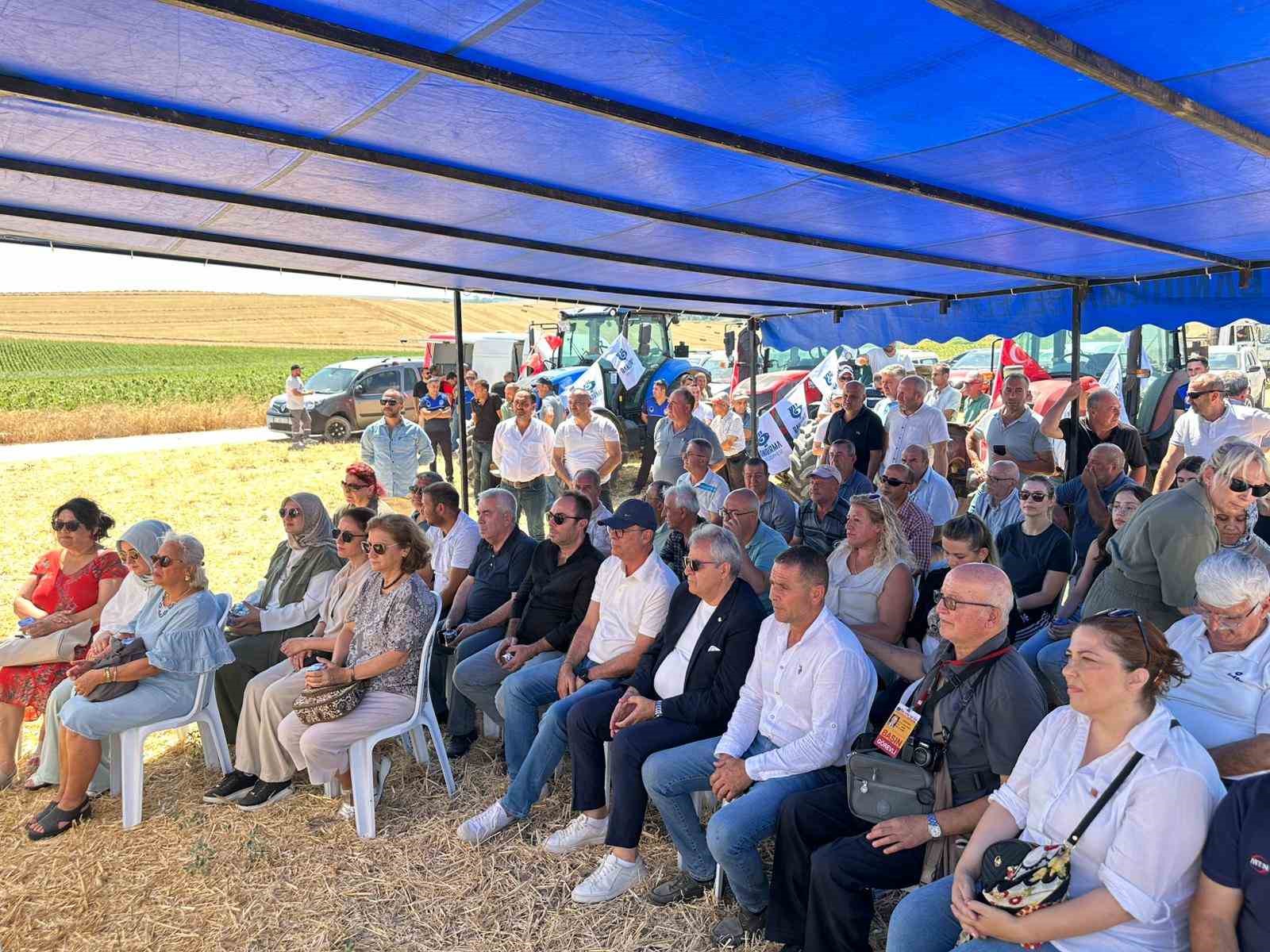 Bandırma’da nohut hasadı şenliği