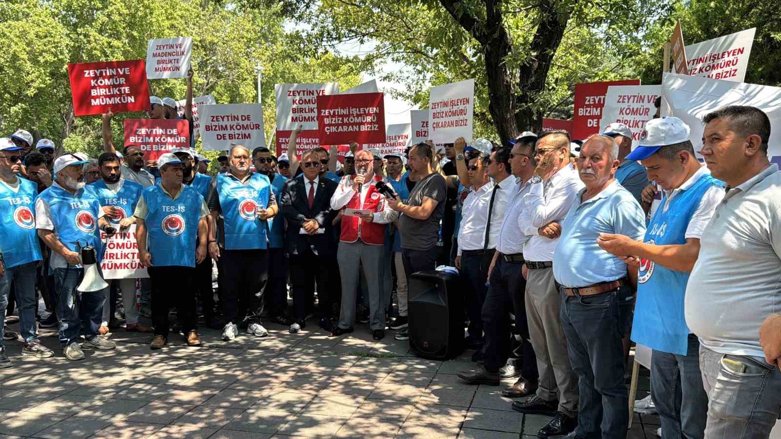 Enerji torba yasasından köylüye müjde çıktı: "Taşınan zeytin ağacının iki katı kadar yeniden dikilecek"