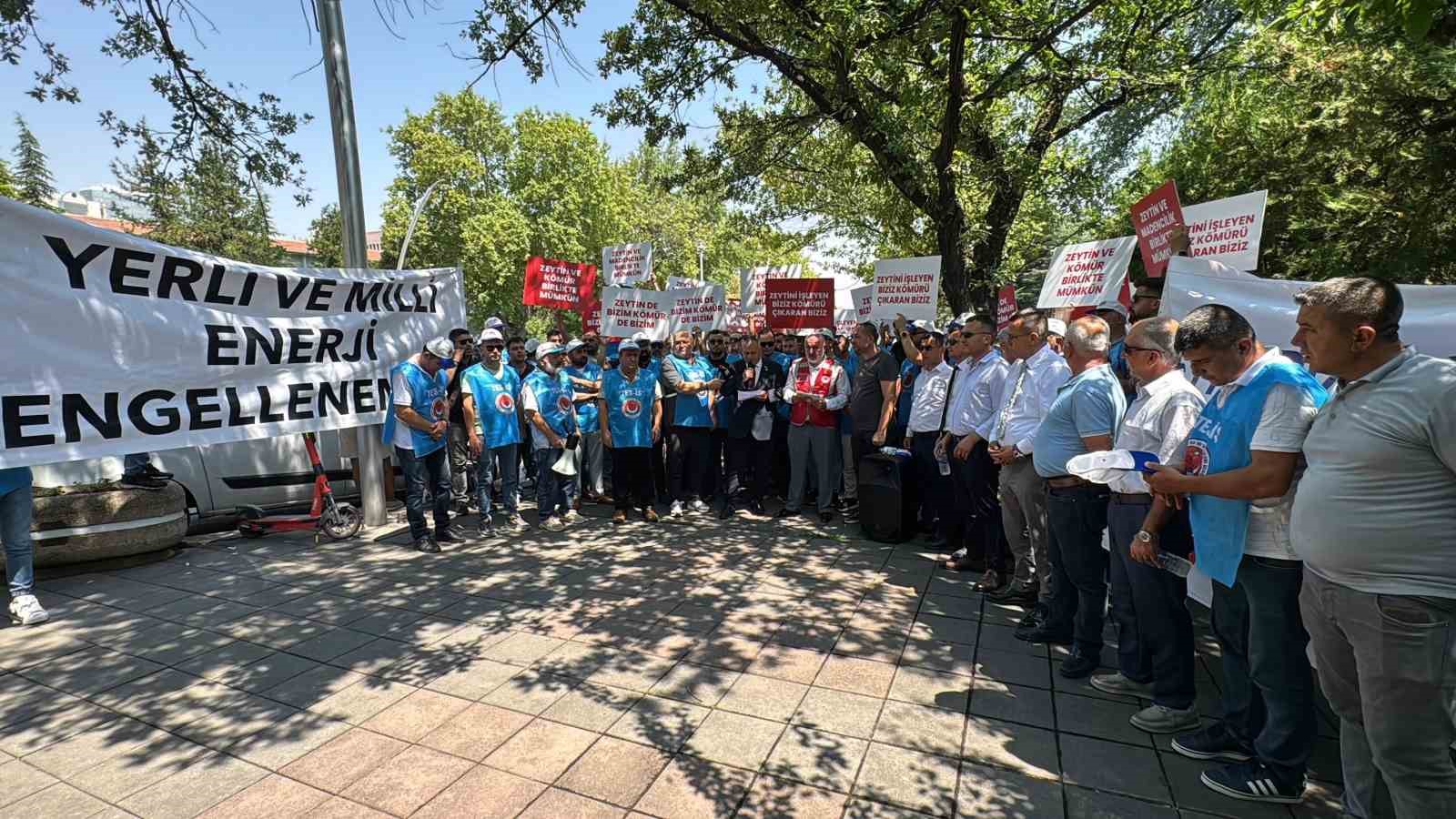 Enerji torba yasasından köylüye müjde çıktı: "Taşınan zeytin ağacının iki katı kadar yeniden dikilecek"