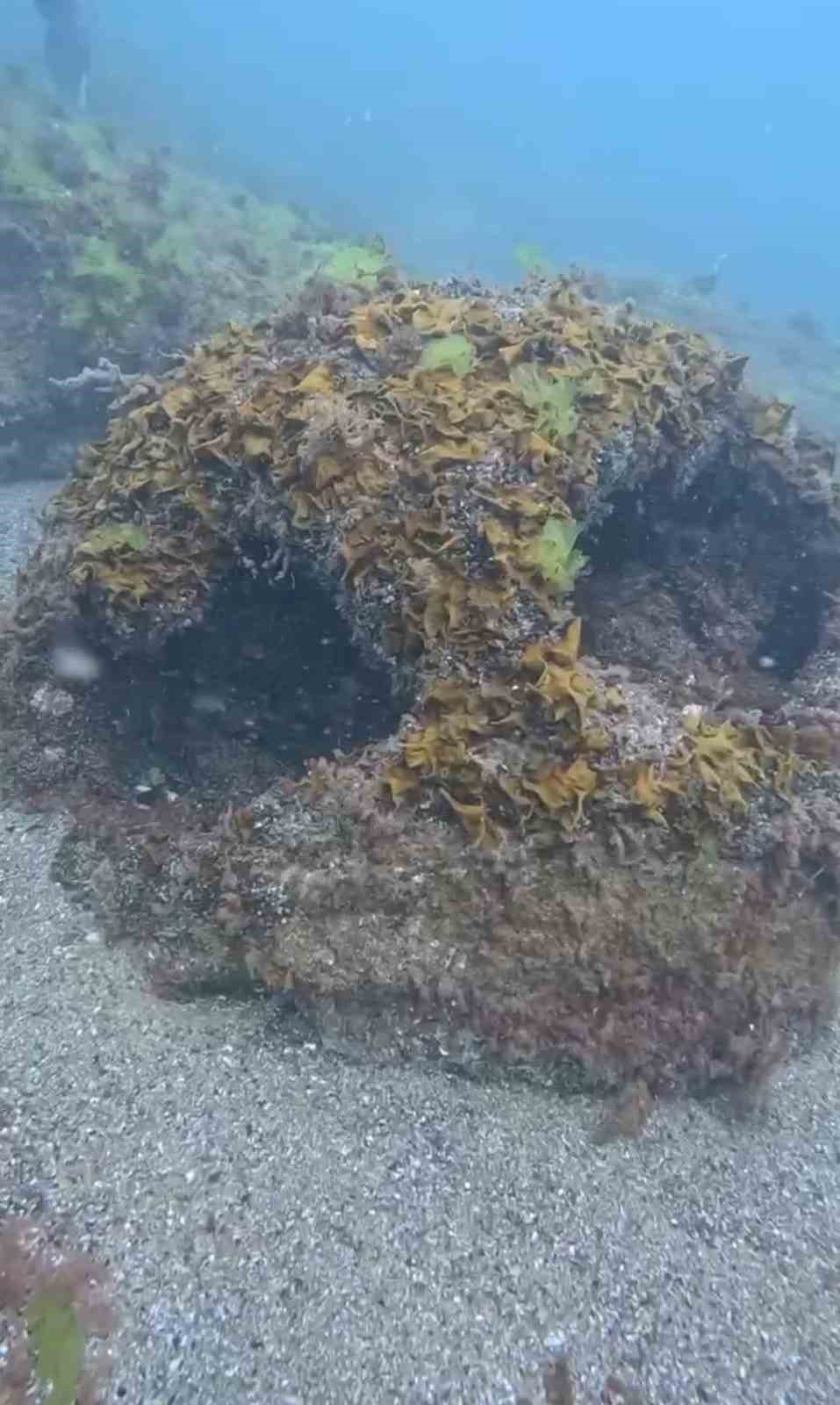 Ordu’da denizde 1,5 metre çapında mayın benzeri cisim bulundu