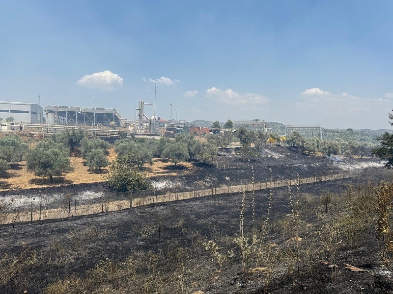 Çift sürülen tarla yangında zarar görmedi