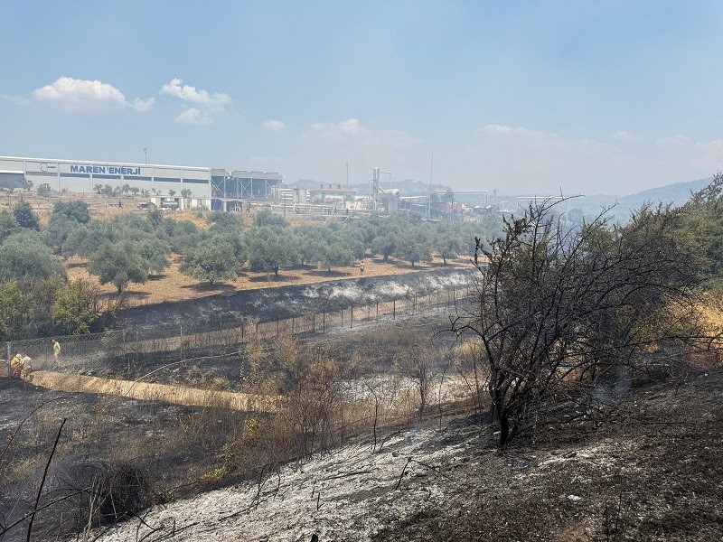 Çift sürülen tarla yangında zarar görmedi