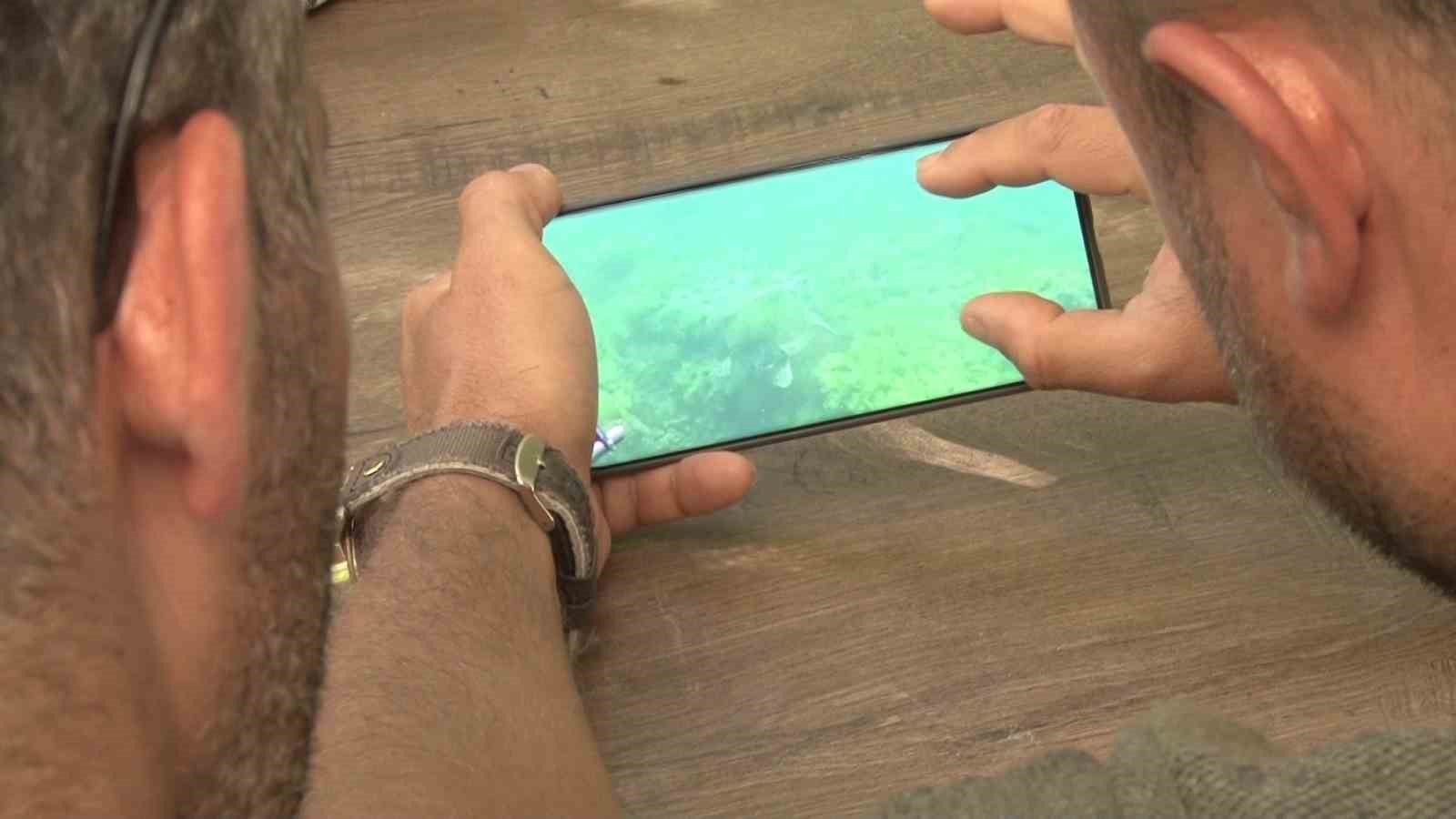 Marmara Denizi’nde bir ilk: Caretta caretta su altında görüntülendi