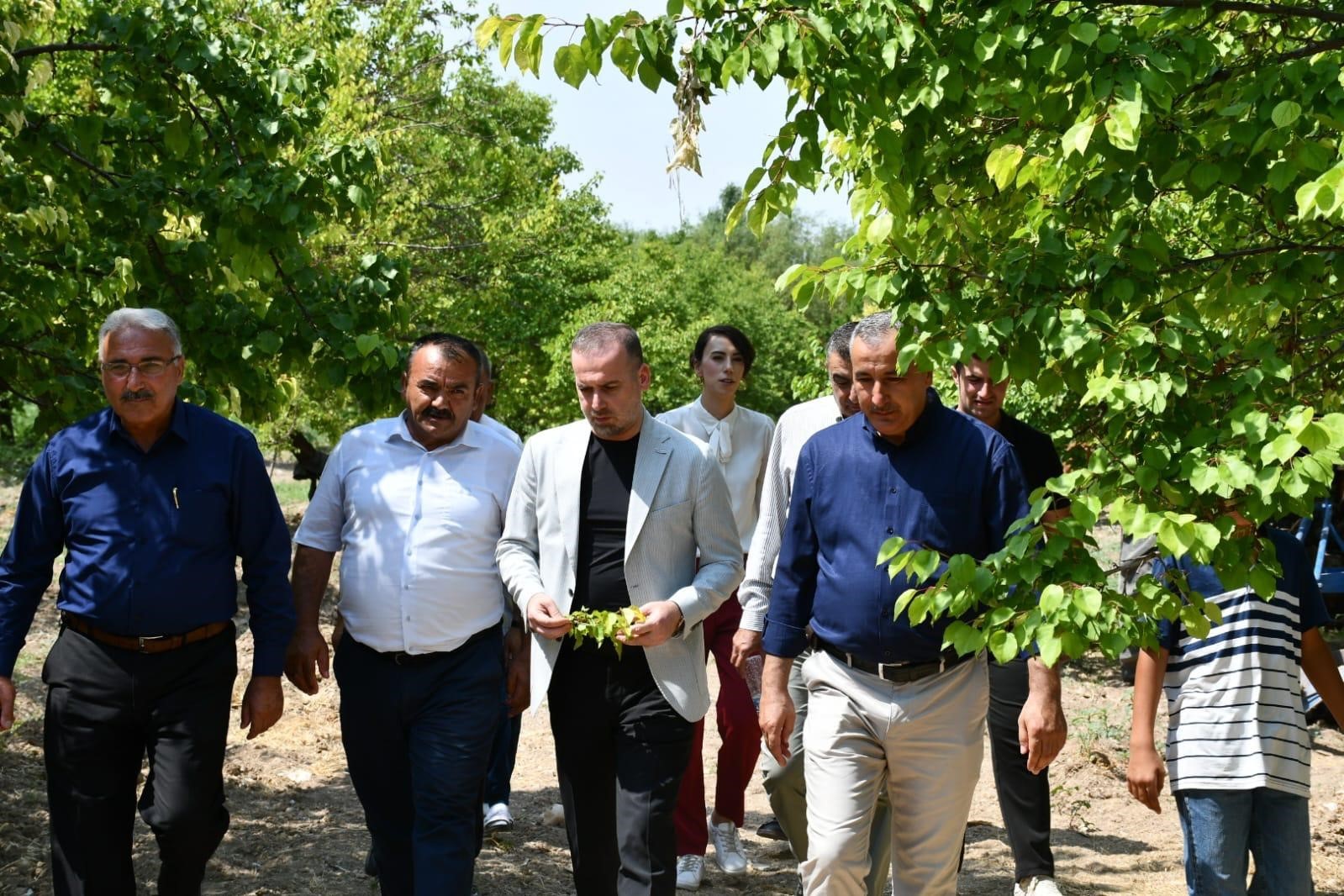 Karademir’den kayısı için acil destek çağrısı