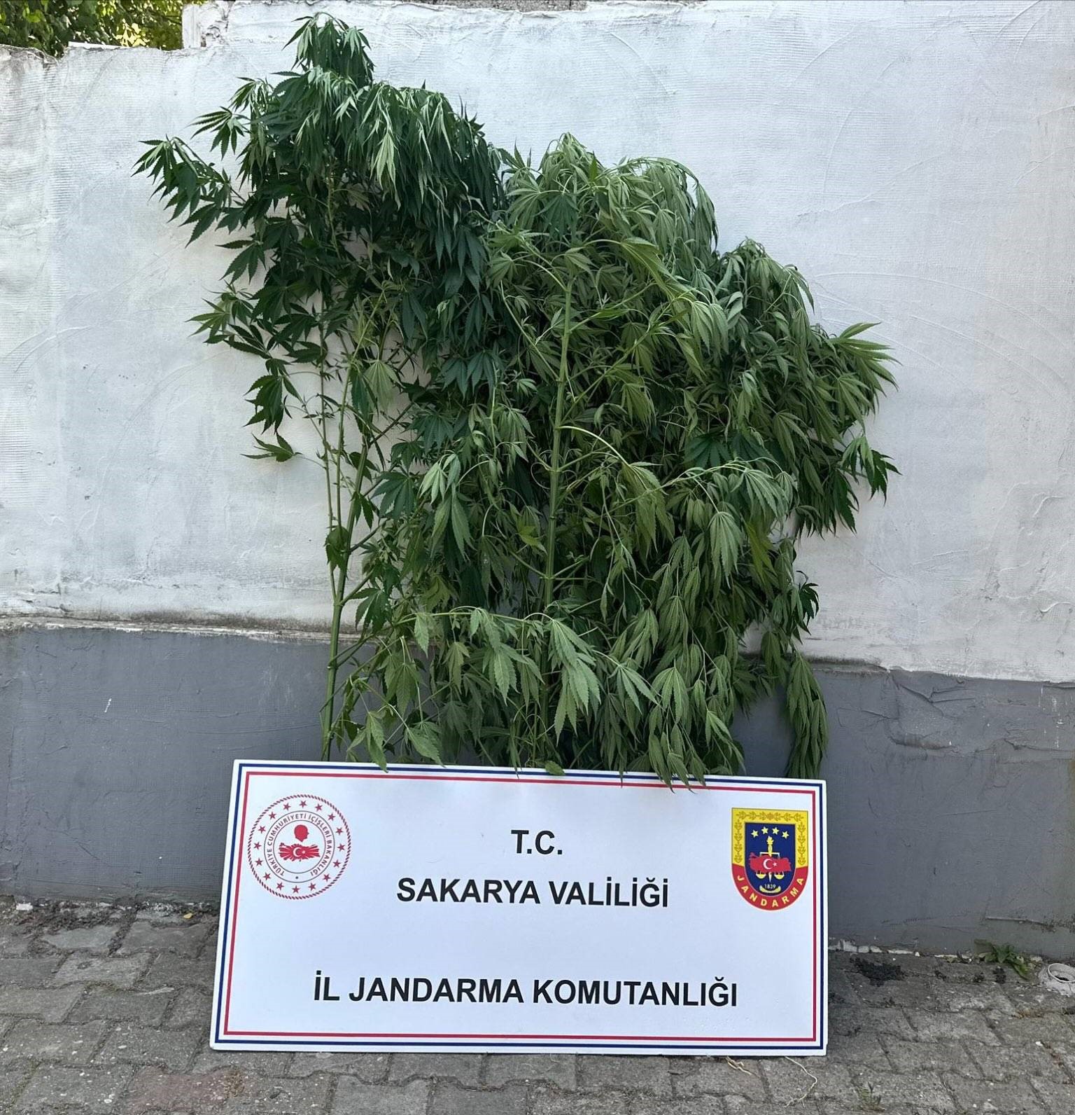 Jandarma uyuşturucuya ge&ccedil;it vermiyor: 1 tutuklama
