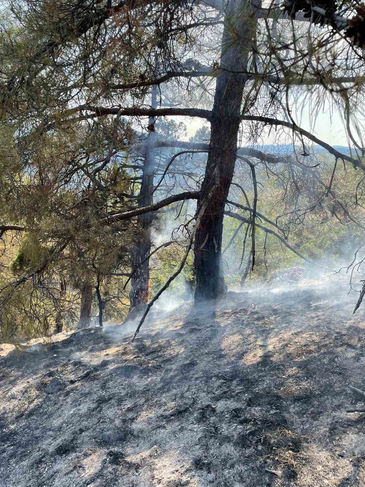 Yıldırım düşmesi sonucu çıkan orman yangını havadan müdahale ile söndürüldü