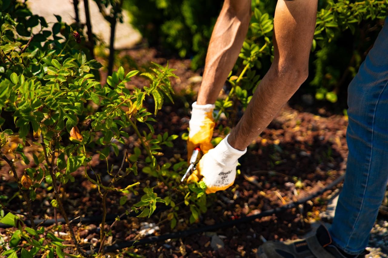 Atatürk Sahil Parkı’nda temizlik ve bakım çalışması yapıldı