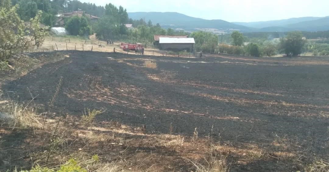 Kastamonu’da tarlalda çıkan örtü yangını söndürüldü