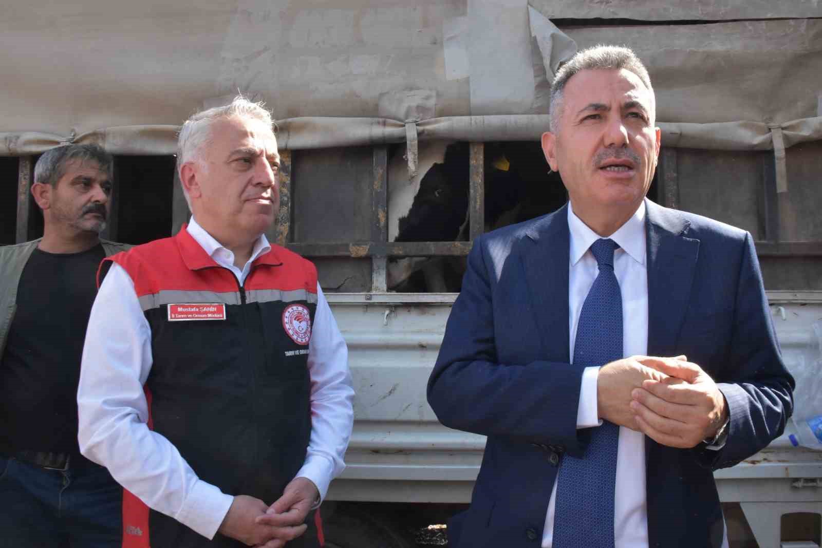 İzmir’de orman yangınlarından etkilenen vatandaşların yaraları sarılıyor