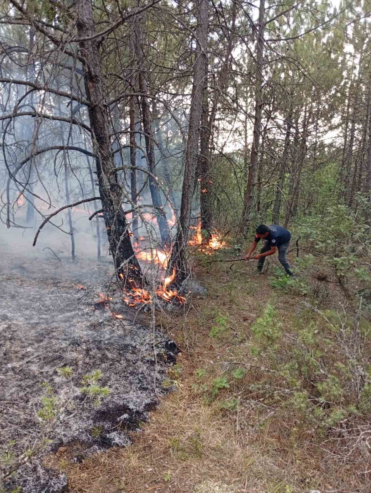 Ormanlık alandaki örtü yangını kontrol altına alındı