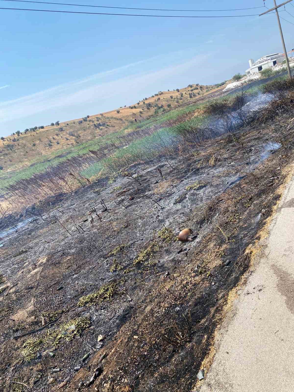 Bandırma-Bursa karayolunda arazi yangını kontrol altına alındı