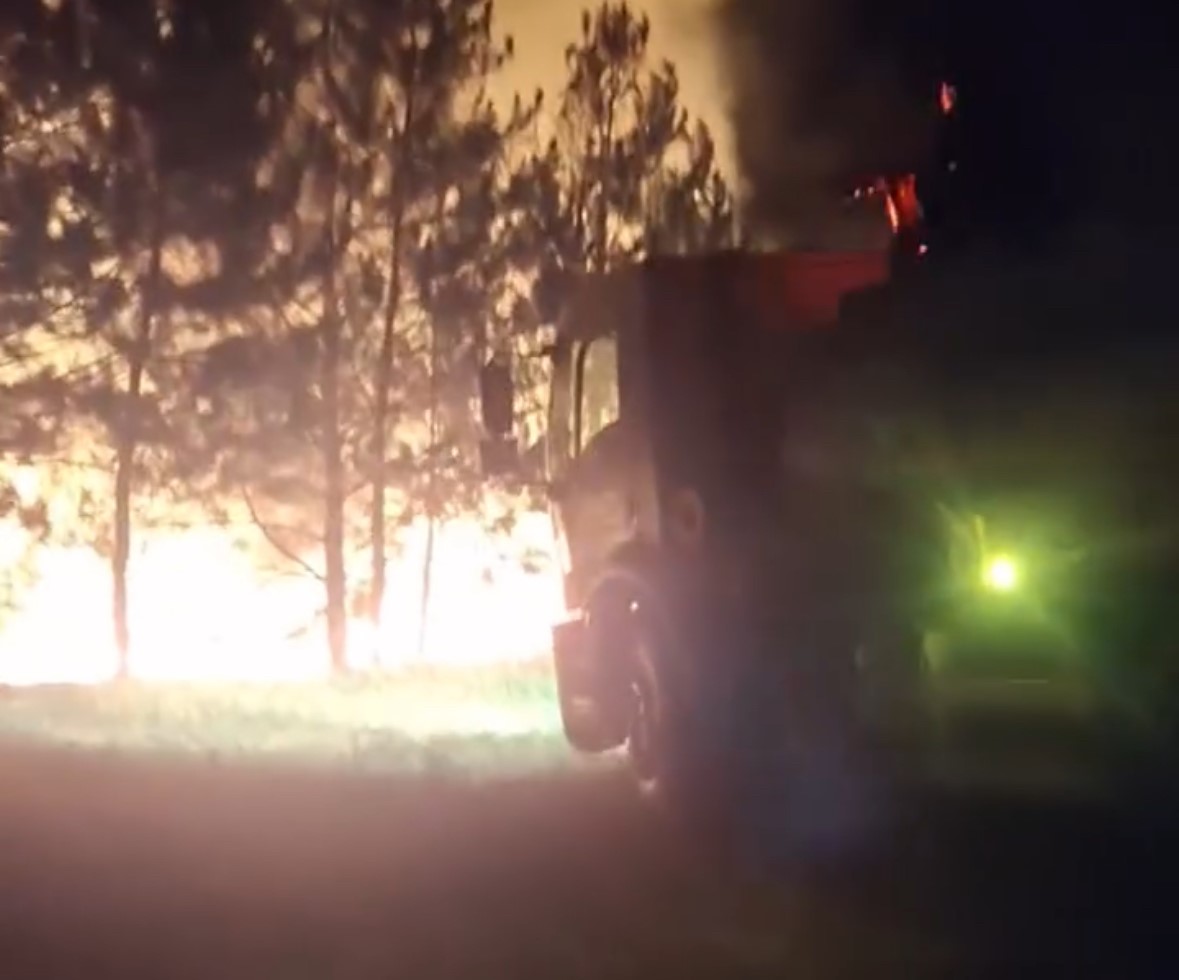 Bolu’da örtü yangını ormana sıçramadan söndürüldü