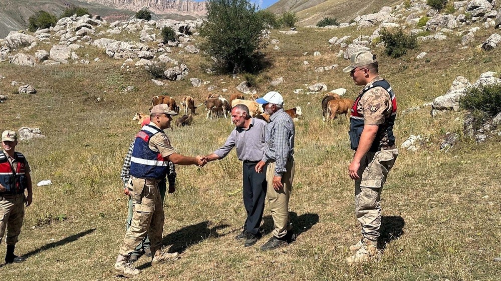 Üzümlü’de 4 gündür kayıp 17 büyükbaş hayvanı jandarma buldu