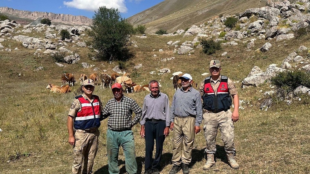 &Uuml;z&uuml;ml&uuml;&rsquo;de 4 g&uuml;nd&uuml;r kayıp 17 b&uuml;y&uuml;kbaş hayvanı jandarma buldu
