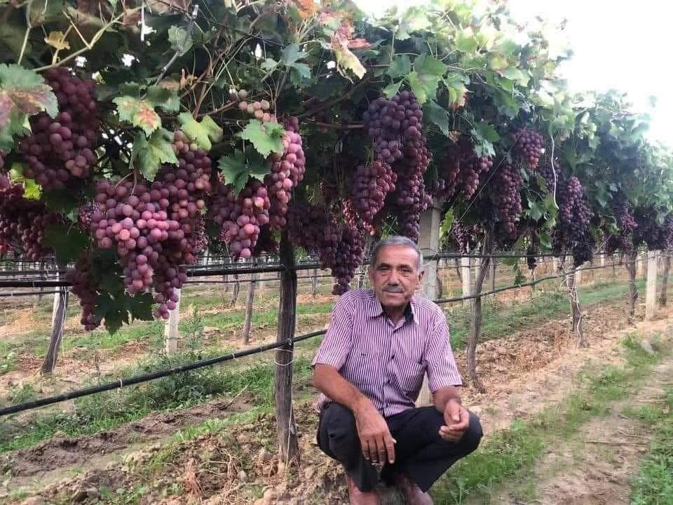 Sarıgöl Ziraat Odası’ndan tarım işçilerine yeni ücret tarifesi