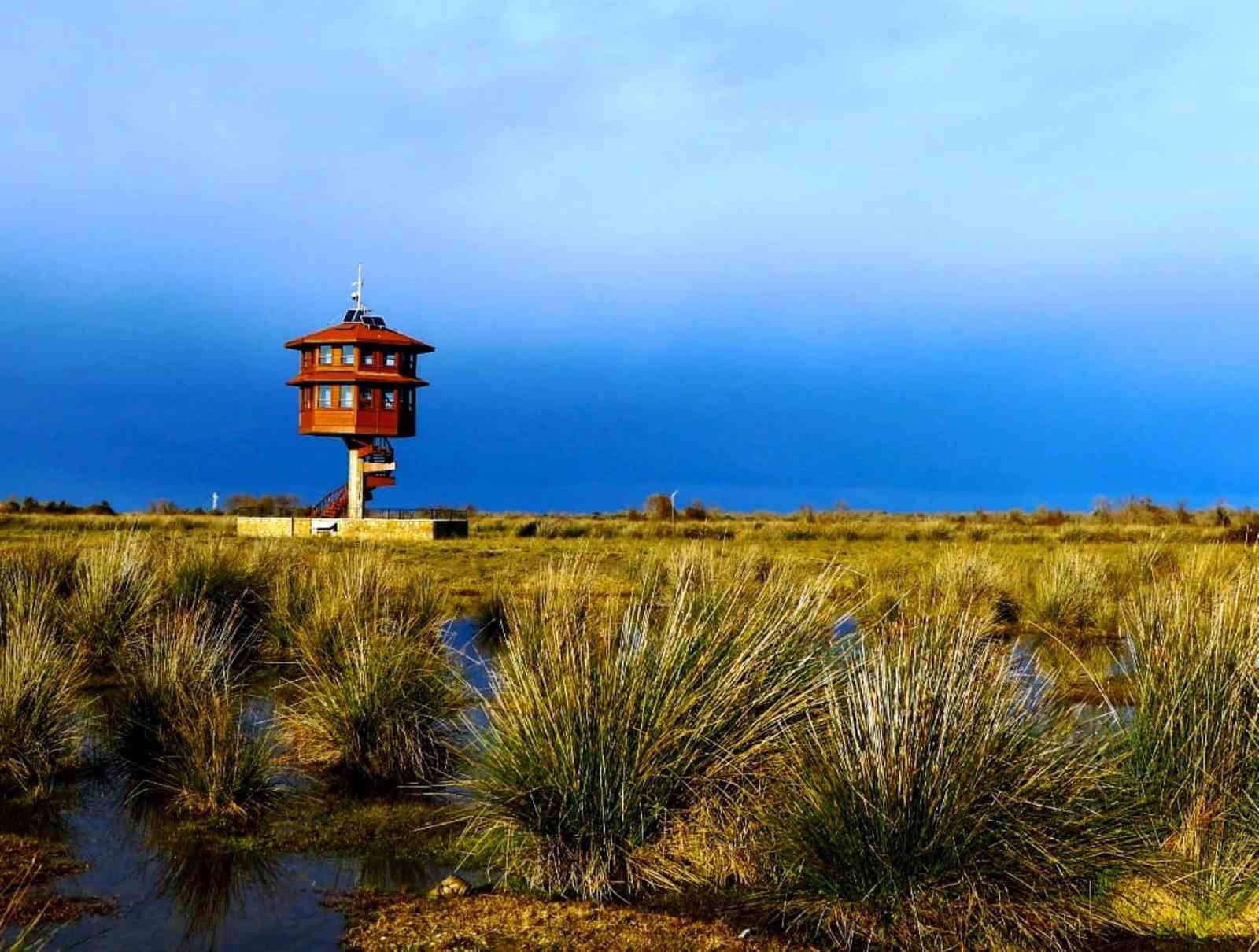 Samsun’da 3 milyon TL avlanma pulu geliri elde edildi